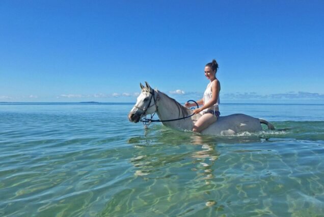 Rotes Meer & Wüste Reiten Tour mit Schwimmen