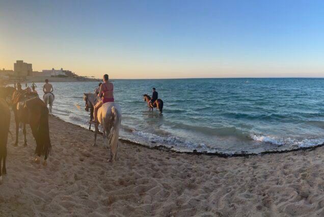 Unvergesslicher Beduinenabend in Hurghada mit Benjamin Reisen – Wüste, Shows & Kultur erleben